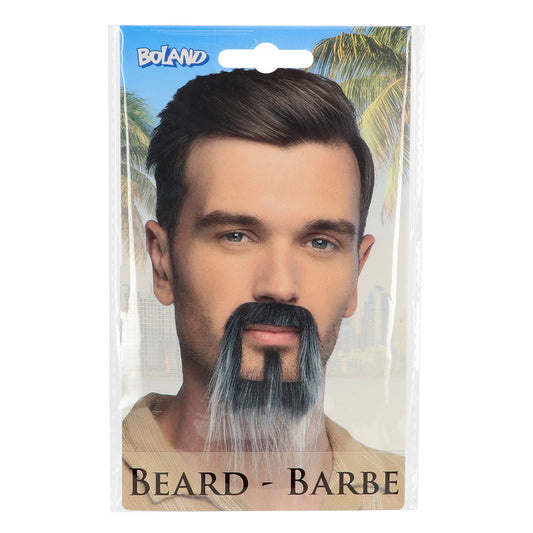 Barbe Longue Grise - Accessoire Déguisement Adulte