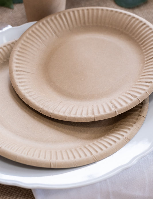 10 Assiettes en carton kraft 23 cm