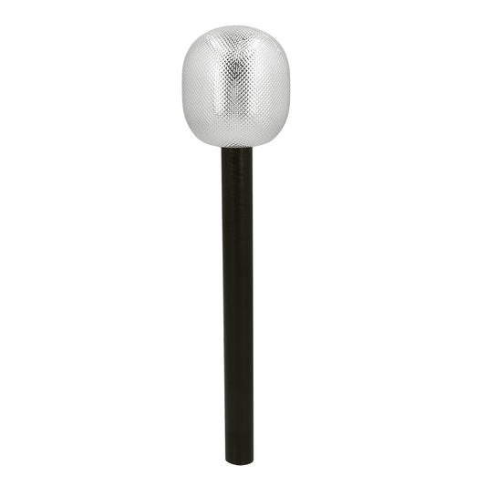 Microphone Argenté Luxe - Accessoire Chanteur & Animateur