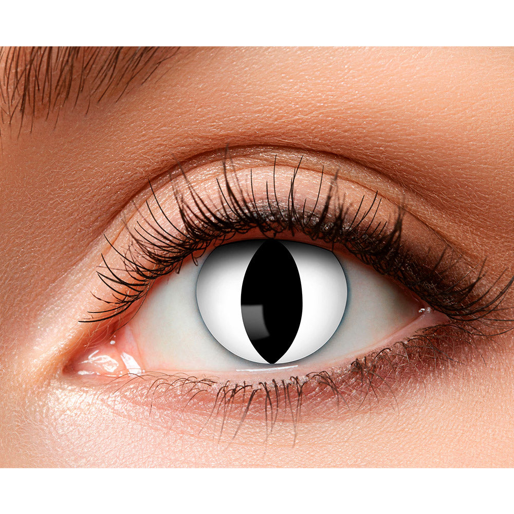 Lentilles de Contact Félin Blanc Noir | Accessoire Déguisement Halloween