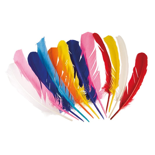 Plumes Colorées Décoratives - Lot de 12 Plumes Assorties