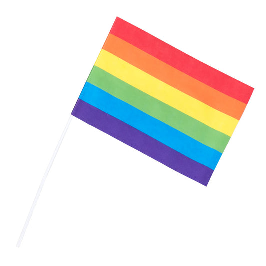 Drapeau Arc-en-Ciel Pride avec Maquillage - Déguisement Carnaval