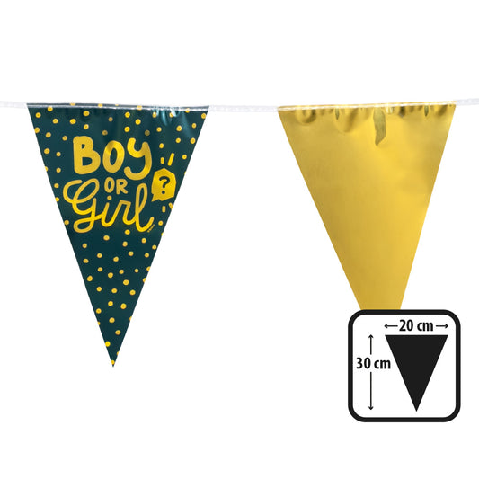 Bannière Gender Reveal Boy or Girl - Décoration Fête 30cm
