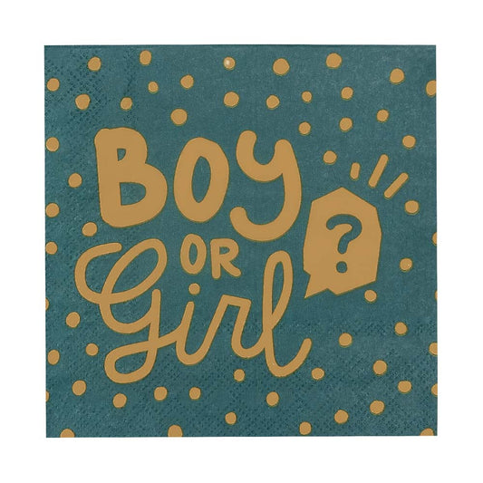 Accessoire Fête Boy or Girl - Décoration Baby Shower Amusante