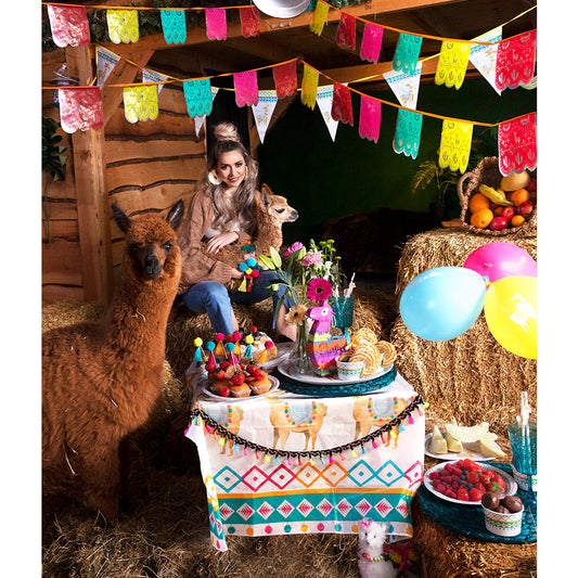 Assiettes Lama Fiesta - Vaisselle Thème Mexicain Colorée