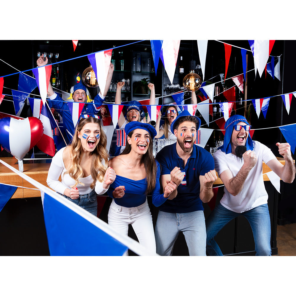 Guirlande Fanions Français 20cm - Décoration Drapeau France