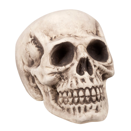 Crâne Décoration Halloween Réaliste - Accessoire Fête
