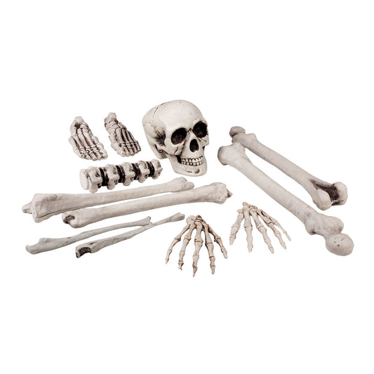 Squelette Complet Halloween - Accessoires Pirate et Décor