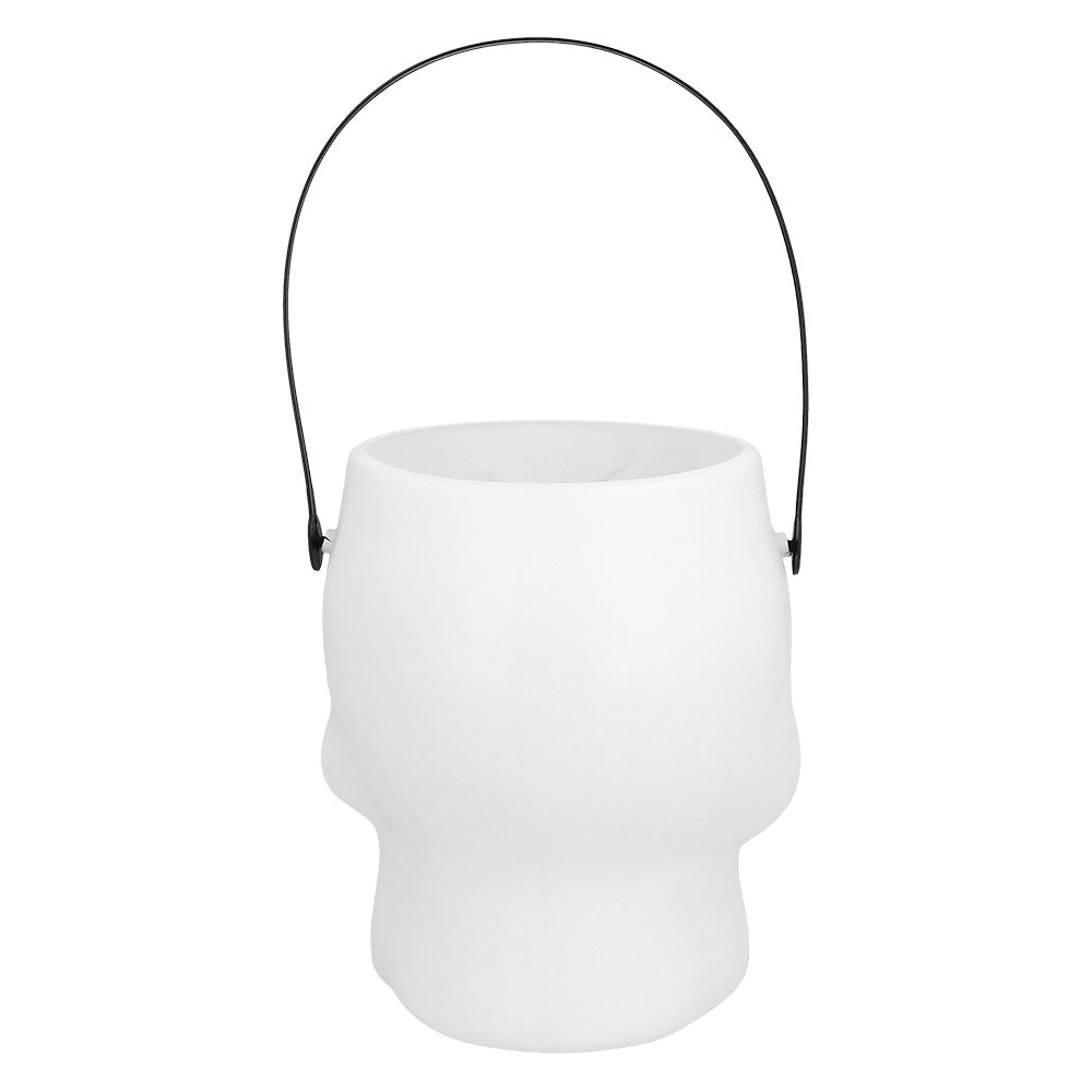 Panier Crâne Blanc Halloween - Accessoire Déguisement Festif