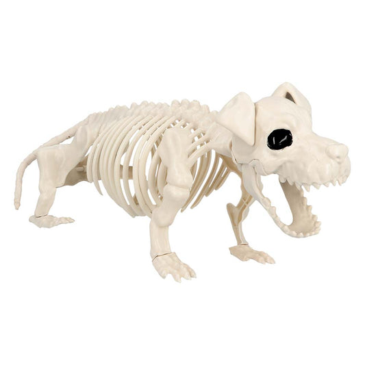 Squelette de Dinosaure T-Rex – Décoration Halloween Horrifique