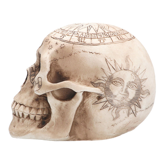 Crâne Astrologique Décoratif - Tête de Mort Zodiaque
