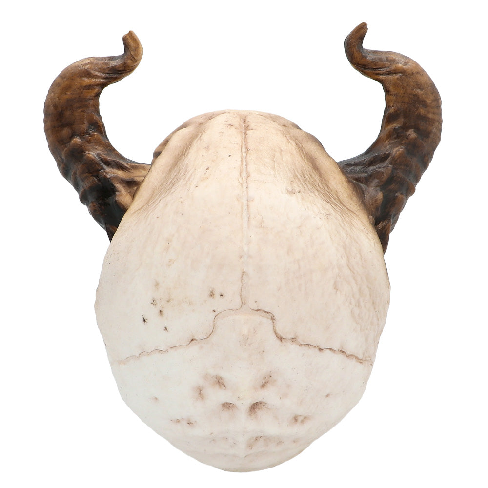 Crâne Démon avec Cornes - Accessoire Halloween Effrayant