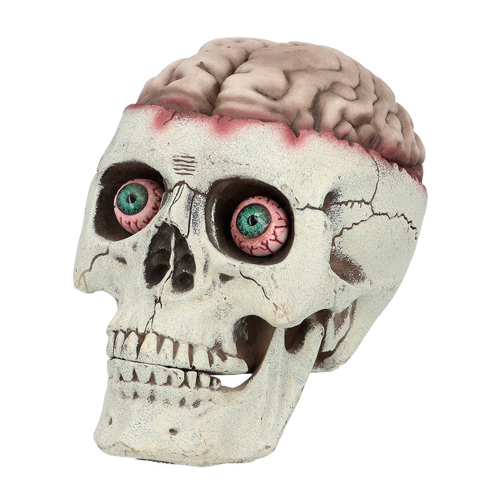 Crâne avec Cerveau Animé - Décoration Halloween Effrayante