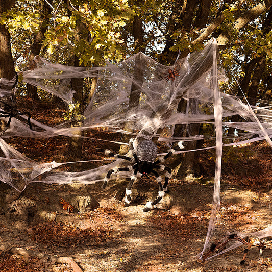 Araignée Géante Poilue Halloween - Costume Adulte Réaliste