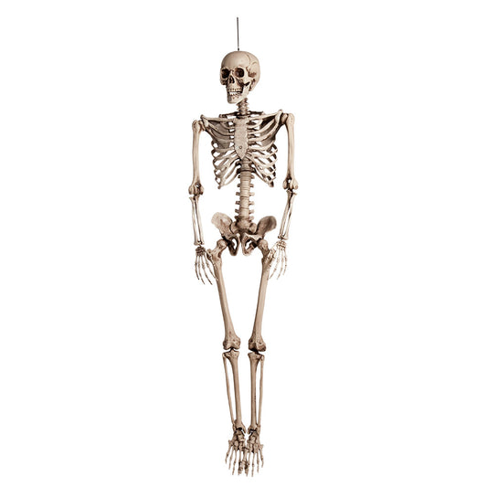 Squelette Géant 160cm - Décoration Halloween Réaliste Articulé