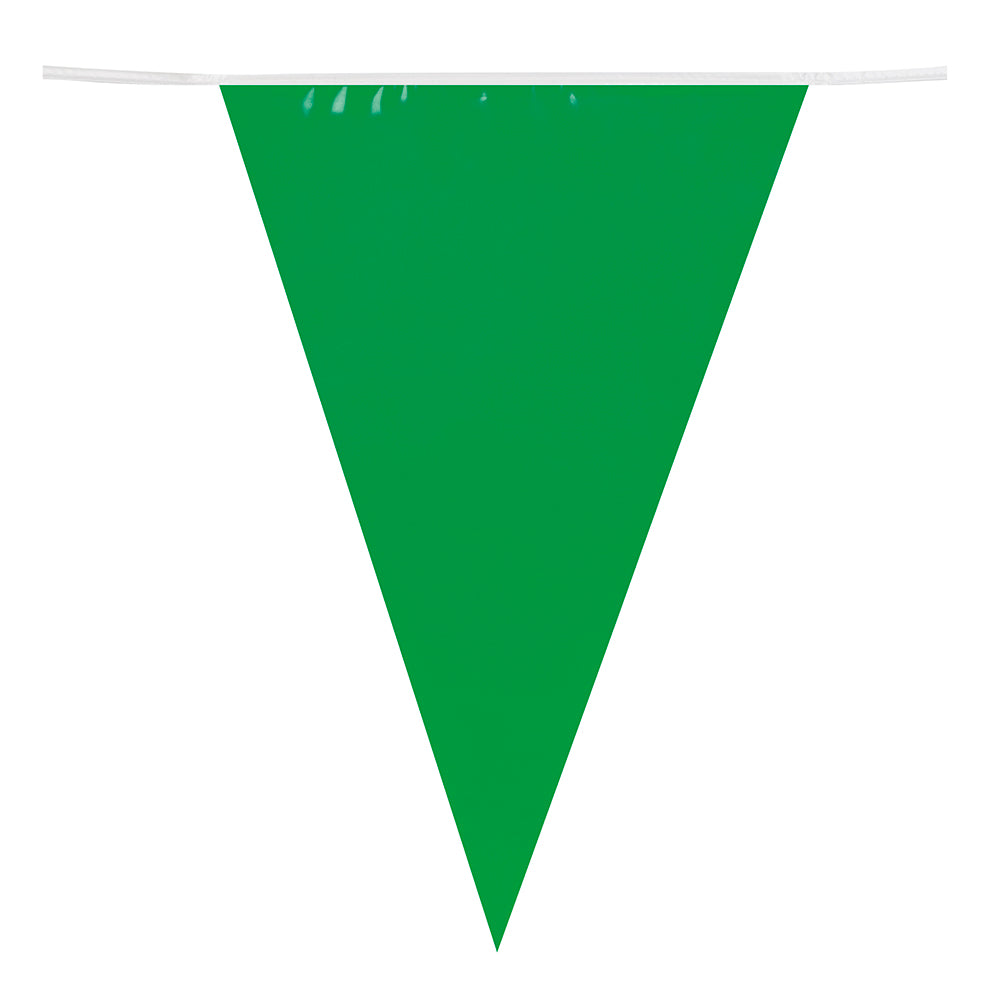 Bannière Triangulaire Vert 20x30cm - Décoration Fête