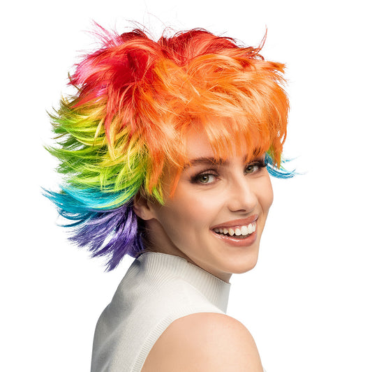 Perruque Rainbow Multicolore Cheveux Courts Déguisement Fête