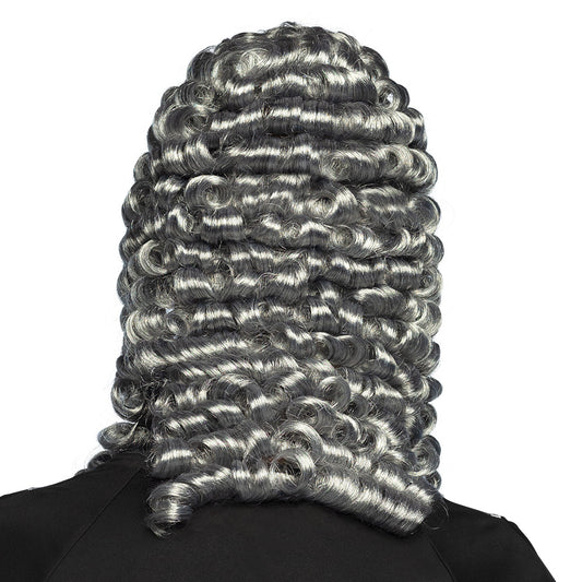 Perruque Juge Baroque Gris Argent - Accessoire Déguisement Adulte