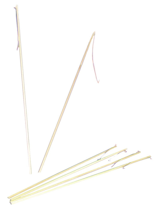 Baton lanterne