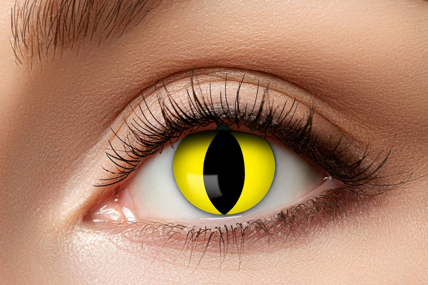 Lentilles chat jaune