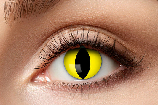 Yellow cat contact lenses