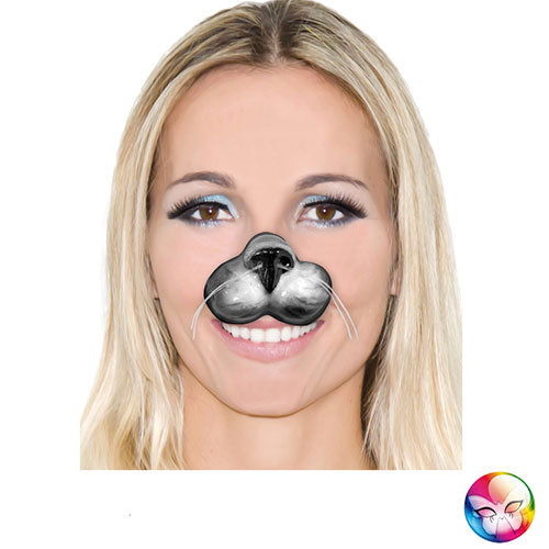 cat nose