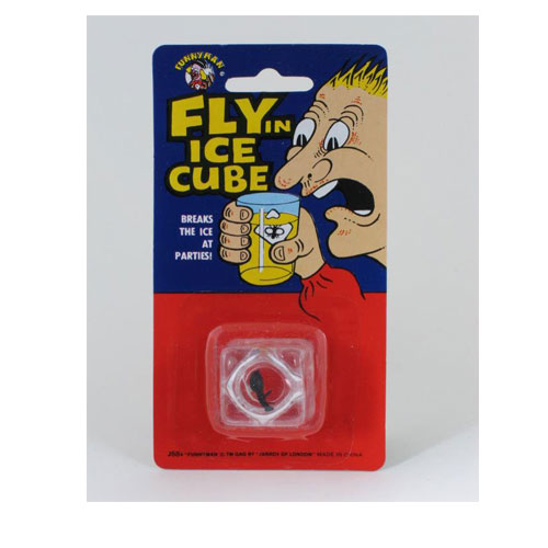 Faux glaçon avec mouche