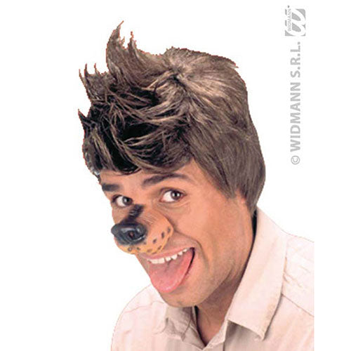 dog nose