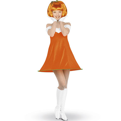 Pumpkin Spice Women's Costume