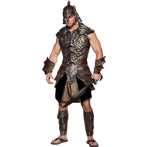 Prince of Dragons men's costume