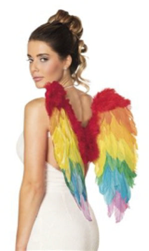 Rainbow angel wings