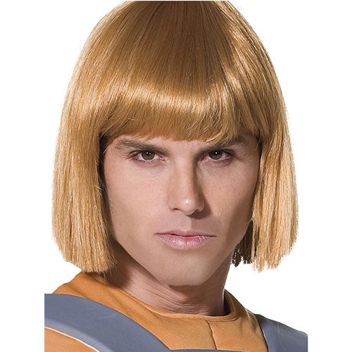 Prince Adam wig