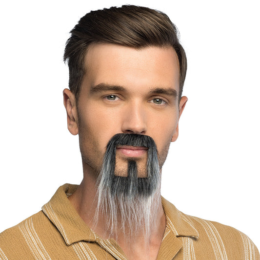 Barbe Longue Grise - Accessoire Déguisement Adulte