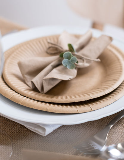 10 Assiettes en carton kraft 23 cm