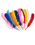 12 Plumes indiennes multicolores 30 cm