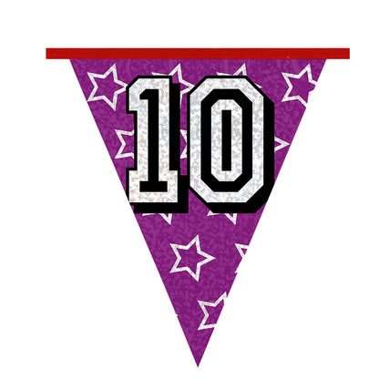 Guirlande Fanion Anniversaire 10 Ans Multicolore 8m