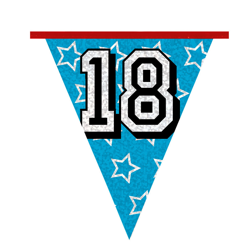 Guirlande Anniversaire 18 ans Multicolore - 8 Mètres