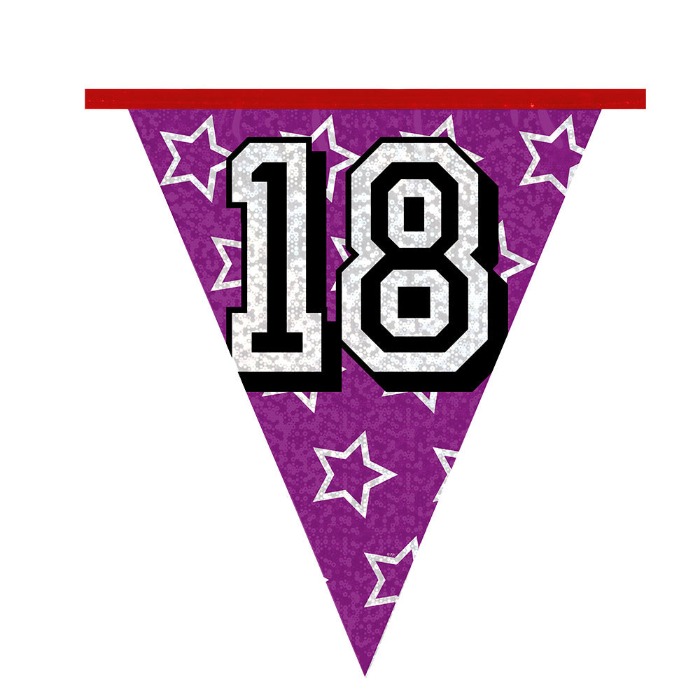 Guirlande Anniversaire 18 ans Multicolore - 8 Mètres