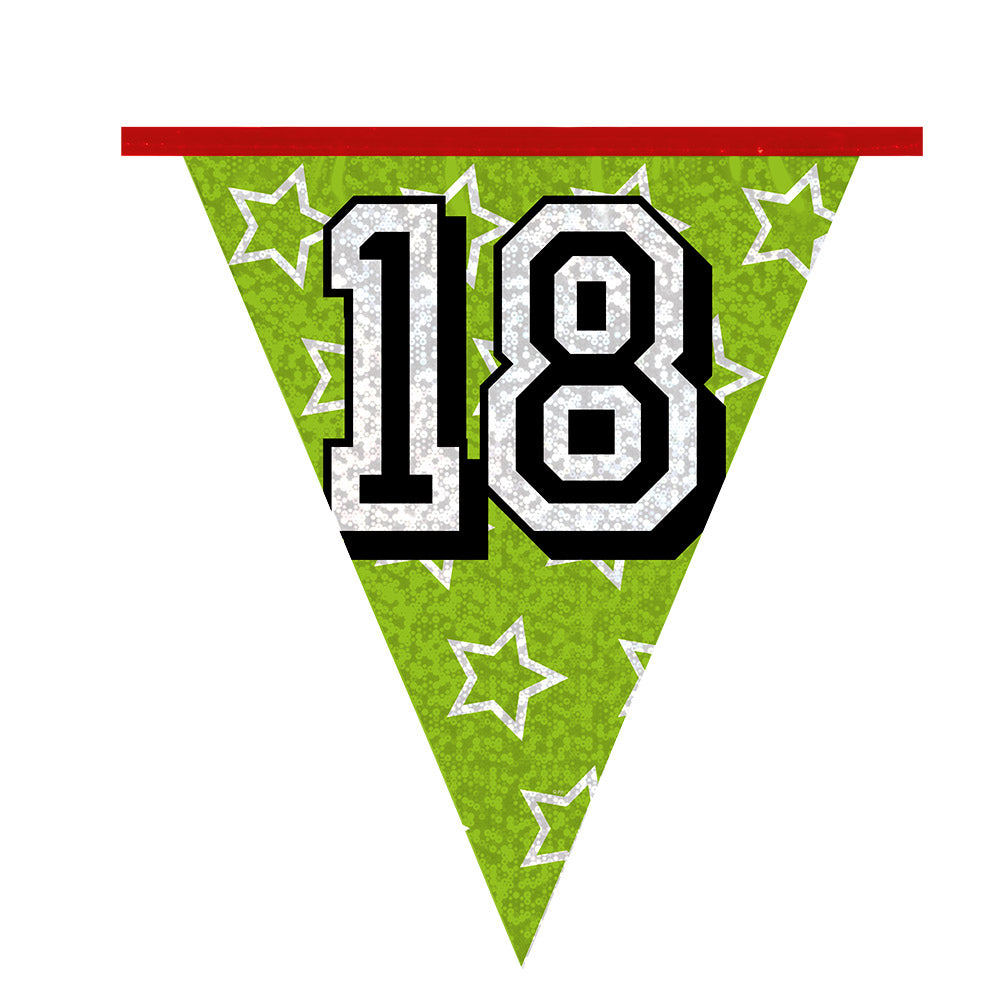 Guirlande Anniversaire 18 ans Multicolore - 8 Mètres