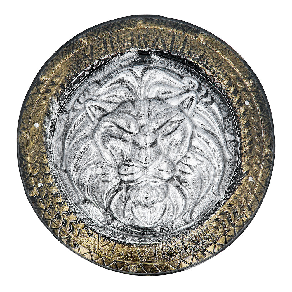 Set Guerrier Médiéval - Bouclier Lion & Épée Dorés