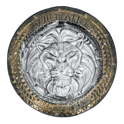 Set Guerrier Médiéval - Bouclier Lion & Épée Dorés