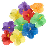 Fleurs Hawaïennes Colorées - Set de 12 Accessoires Tropicaux