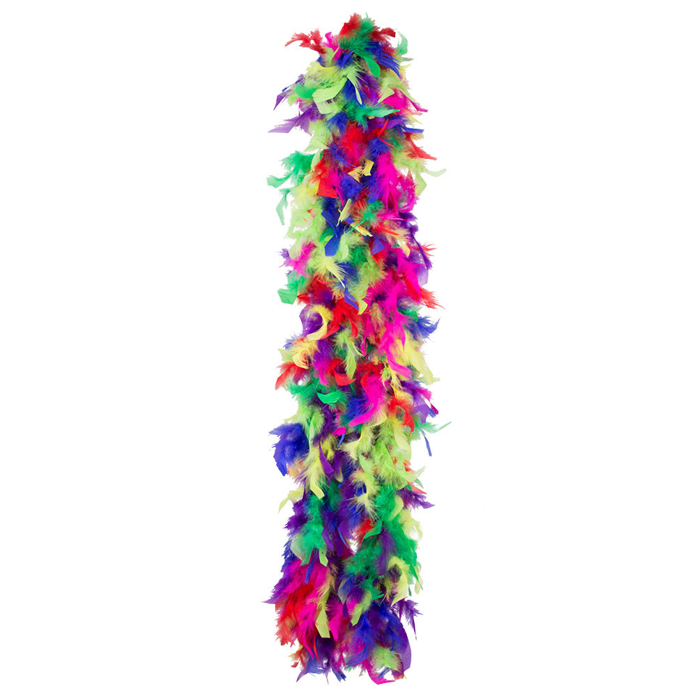 Boa Plumes Arc-en-ciel Multicolore - Accessoire Déguisement Fête