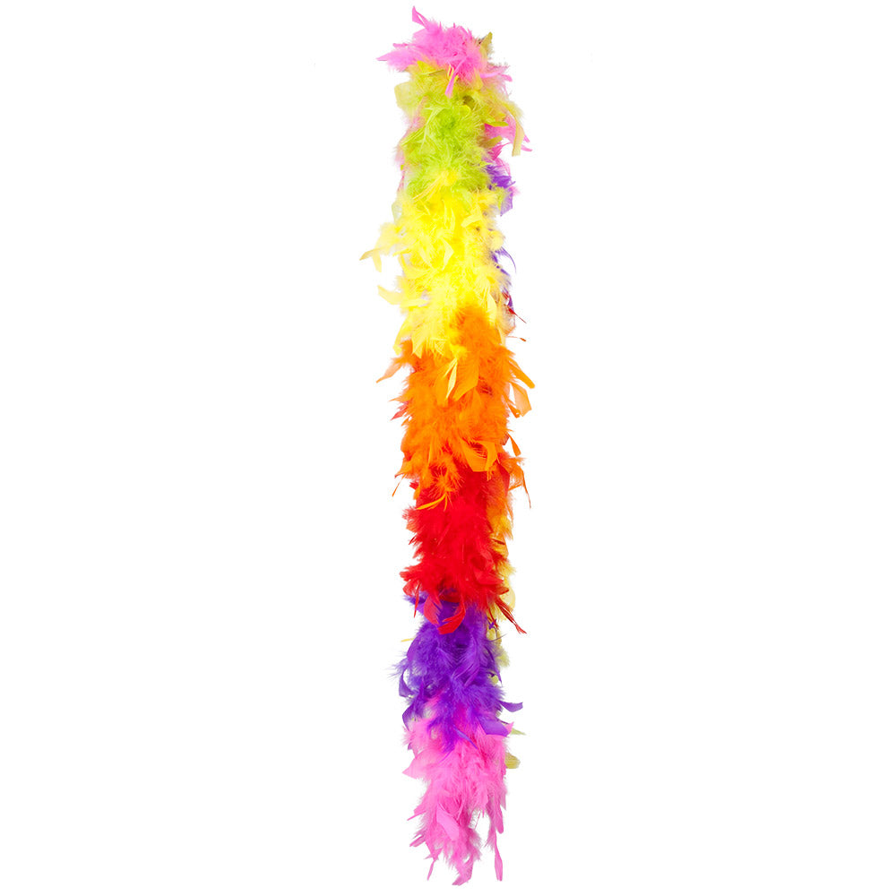Boa Plumes Arc-en-ciel - Accessoire Fête Coloré et Festif