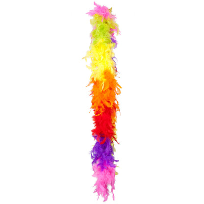 Boa Plumes Arc-en-ciel - Accessoire Fête Coloré et Festif