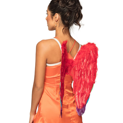 Ailes Oiseau Multicolores Arc-en-Ciel Plumes Adulte