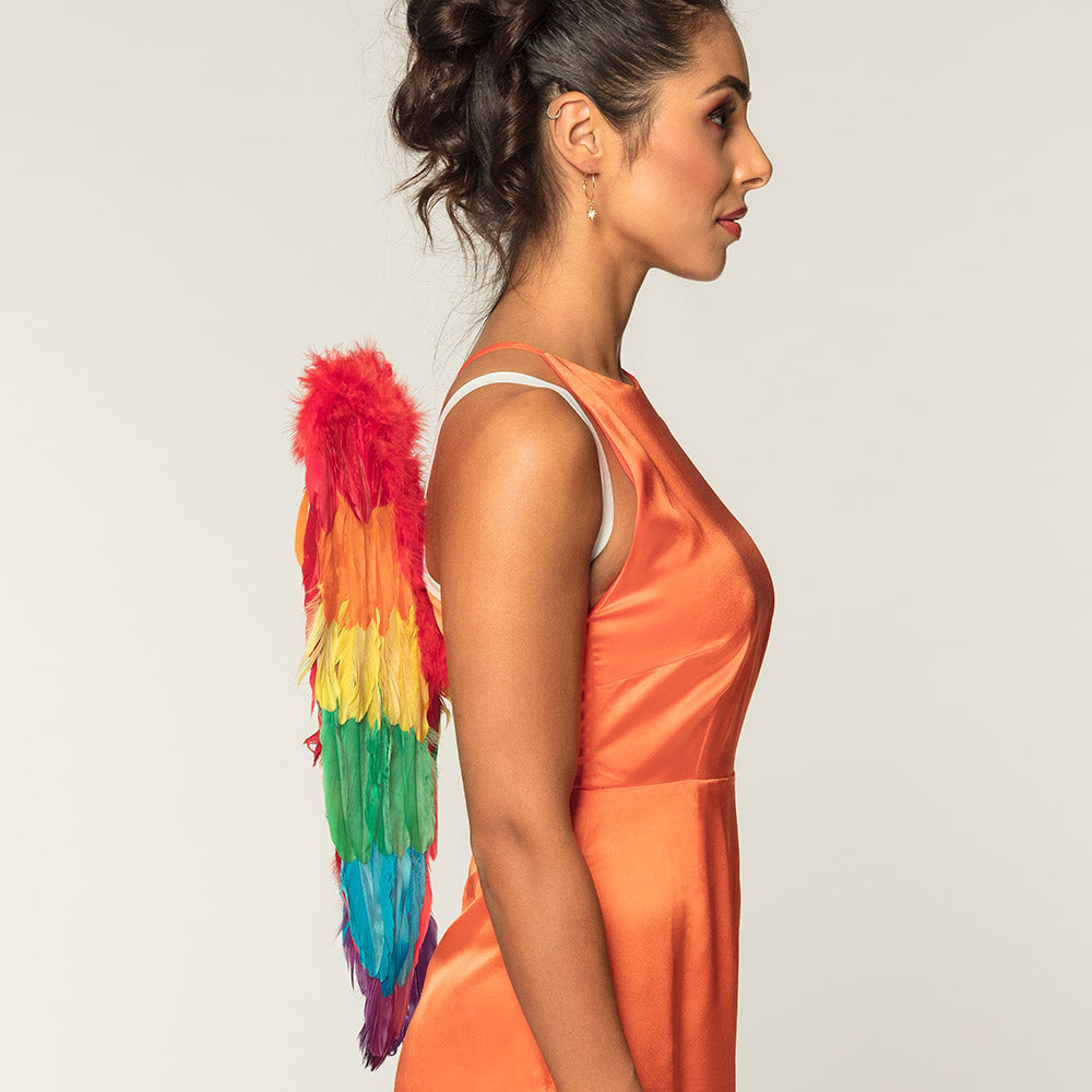 Ailes Oiseau Multicolores Arc-en-Ciel Plumes Adulte