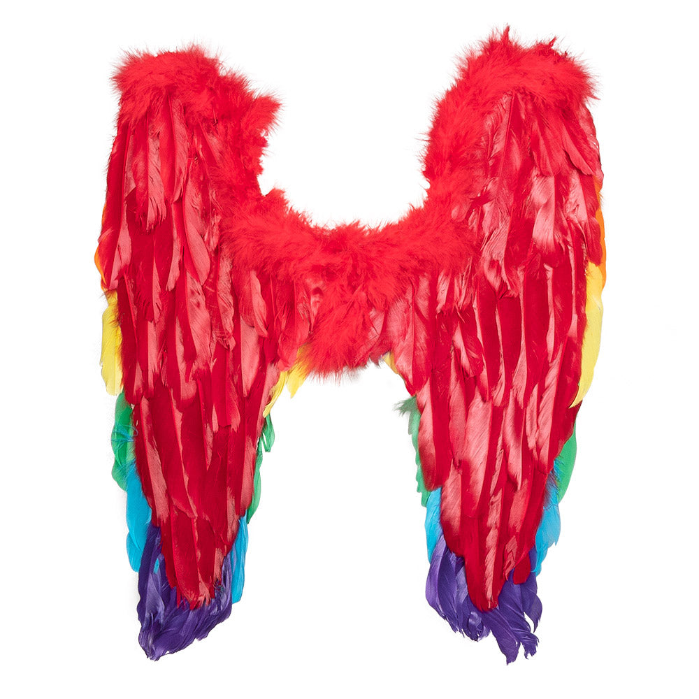 Ailes Oiseau Multicolores Arc-en-Ciel Plumes Adulte