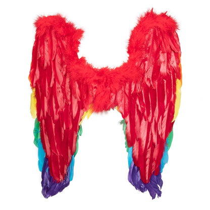 Ailes Oiseau Multicolores Arc-en-Ciel Plumes Adulte