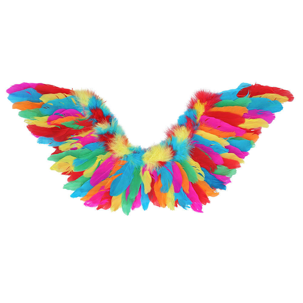 Ailes Plumes Arc-en-Ciel Multicolores - Accessoire Déguisement Fête
